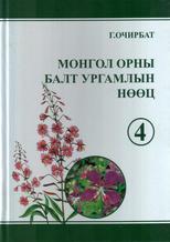 Main cover