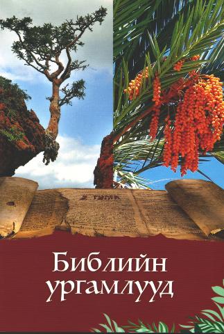 Main cover
