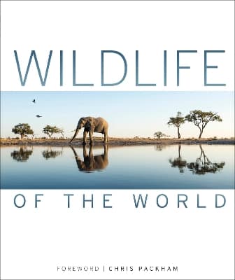 Main cover