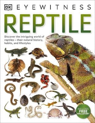 Main cover