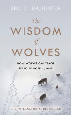 Main cover