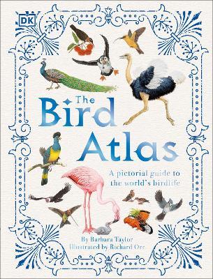 Main cover
