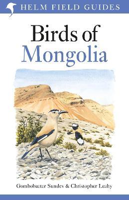 Main cover