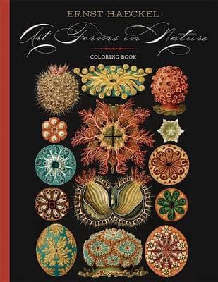 Main cover