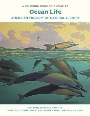 Main cover