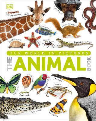 Main cover