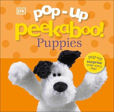 Main cover
