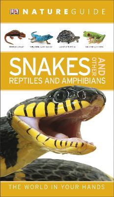 Main cover