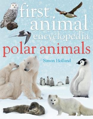 Main cover