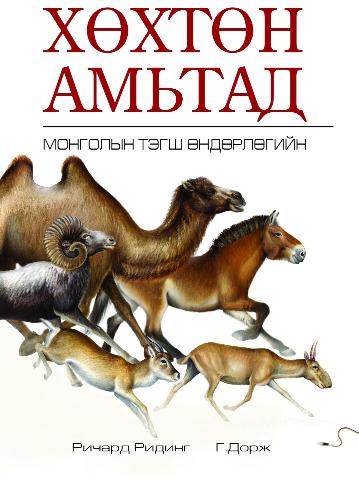 Main cover