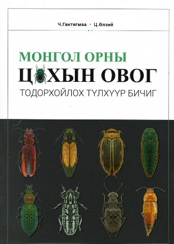Main cover