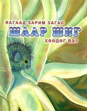 Main cover