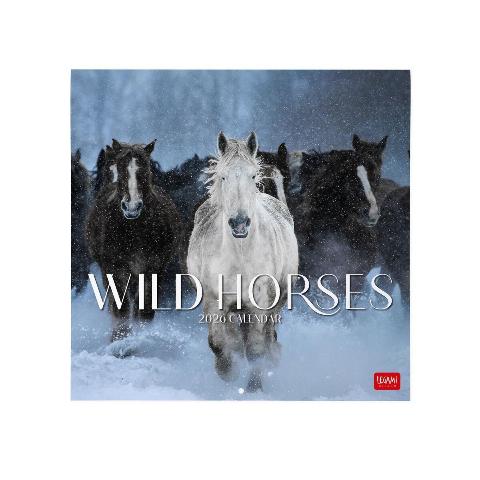 Main cover