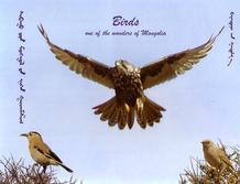 Main cover
