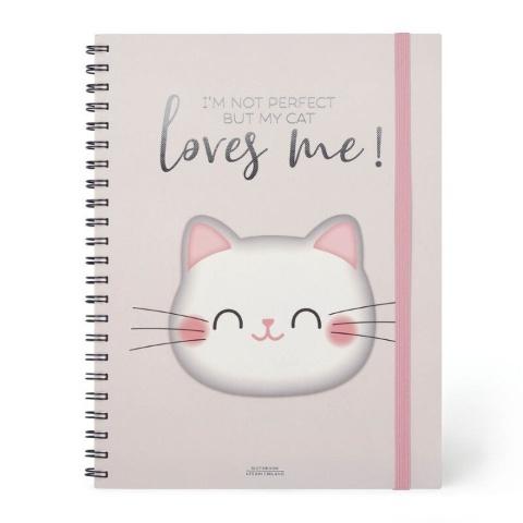 Main cover